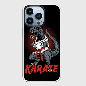 Чехол для iPhone 13 Pro с принтом KARATE T REX в Курске,  |  | animal | dinosaur | fight | fighter | hunter | karate | red | sport | strong | t rex | боец | бои | динозавр | карате | сила | спорт | тиранозавр | хищник