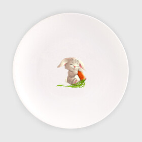 Тарелка с принтом Солнышко с морковкой в Курске, фарфор | диаметр - 210 мм
диаметр для нанесения принта - 120 мм | Тематика изображения на принте: животное | зайчик | заяц | зверь | кролик | морковка | пушистый | серый зайка | уши | хвост