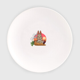Тарелка с принтом Sweet Bunny в Курске, фарфор | диаметр - 210 мм
диаметр для нанесения принта - 120 мм | закат | иллюстрация | крольченок | морковь | сладкий кролик