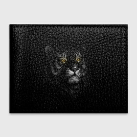Обложка для студенческого билета с принтом Тигр в Курске, натуральная кожа | Размер: 11*8 см; Печать на всей внешней стороне | взгляд | глаза | киса | киска | кот | котик | котяра | профиль | пушистый | тигр | усы