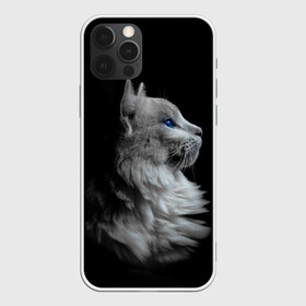 Чехол для iPhone 12 Pro Max с принтом Голубоглазый гот в Курске, Силикон |  | Тематика изображения на принте: белоснежный | взгляд | глаза | голубоглазый | киса | киска | кот | котик | котяра | профиль | пушистый | усы