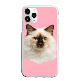 Чехол для iPhone 11 Pro Max матовый с принтом Пушистый кот в Курске, Силикон |  | белоснежный | взгляд | глаза | голубоглазый | киса | киска | кот | котик | котяра | профиль | пушистый | усы | уши