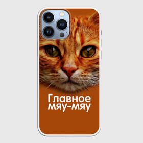 Чехол для iPhone 13 Pro Max с принтом ГЛАВНОЕ МЯУ МЯУ в Курске,  |  | Тематика изображения на принте: главное мяу мяу | животные | кот | кошка | мордочка | мяу | рыжий