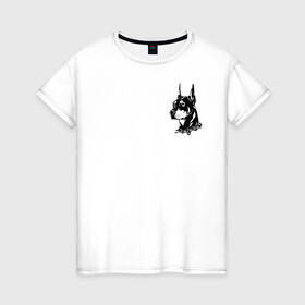 Женская футболка хлопок с принтом Doberman в Курске, 100% хлопок | прямой крой, круглый вырез горловины, длина до линии бедер, слегка спущенное плечо | dog | streetwear | доберман | ошейник | собака