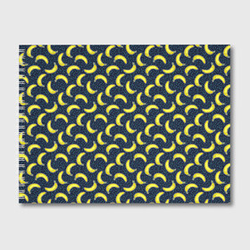 Альбом для рисования с принтом Бананы в Курске, 100% бумага
 | матовая бумага, плотность 200 мг. | абстракция | банан | бананы | лето | паттерн | текстуры | узоры | фрукты