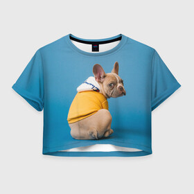 Женская футболка Crop-top 3D с принтом Собачка на стиле в Курске, 100% полиэстер | круглая горловина, длина футболки до линии талии, рукава с отворотами | dog | модель | песик | позирует | собака | фотосессия