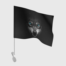 Флаг для автомобиля с принтом ВОЛК В АБСОЛЮТНОЙ ТЬМЕ в Курске, 100% полиэстер | Размер: 30*21 см | волк | злость | зубы | ночь | опасность | оскал | тьма | хишник | ярость