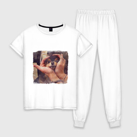 Женская пижама хлопок с принтом 8 мембер в Курске, 100% хлопок | брюки и футболка прямого кроя, без карманов, на брюках мягкая резинка на поясе и по низу штанин | Тематика изображения на принте: bts | ёнтан | животные | собака | тэхен