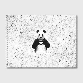 Альбом для рисования с принтом Панда Любовь Сердце Брызги в Курске, 100% бумага
 | матовая бумага, плотность 200 мг. | Тематика изображения на принте: animals | beast | panda | брызги | глаза | животные | звери | краски | любовь | милые | панда | пятна | растения | сердце | серый | точки | цветы | чб | эвкалипт
