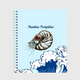 Тетрадь с принтом Nautilus Pompilius океан в Курске, 100% бумага | 48 листов, плотность листов — 60 г/м2, плотность картонной обложки — 250 г/м2. Листы скреплены сбоку удобной пружинной спиралью. Уголки страниц и обложки скругленные. Цвет линий — светло-серый
 | Тематика изображения на принте: nau | nautilus pompilius | альбом | ассоциация | внуки энгельса | вячеслав бутусов | группа | настя | нау | наутилус | наутилус помпилиус | наутилусы | нп | рок | русский | советский | урфин джюс | ю питер