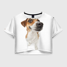 Женская футболка Crop-top 3D с принтом Собака в Курске, 100% полиэстер | круглая горловина, длина футболки до линии талии, рукава с отворотами | dog | джек | джек рассел | джек рассел терьер | дог | домашние животные | рассел | рассел терьер | собака | собаки | терьер