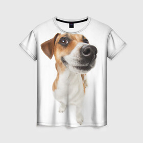 Женская футболка 3D с принтом Собака в Курске, 100% полиэфир ( синтетическое хлопкоподобное полотно) | прямой крой, круглый вырез горловины, длина до линии бедер | dog | джек | джек рассел | джек рассел терьер | дог | домашние животные | рассел | рассел терьер | собака | собаки | терьер