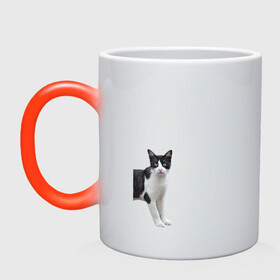 Кружка хамелеон с принтом смотрящая кошка в Курске, керамика | меняет цвет при нагревании, емкость 330 мл | голова | домашнее животное | животное | зверь | кот | котёнок | кошка