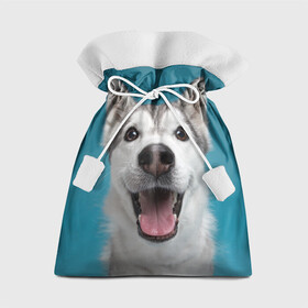 Подарочный 3D мешок с принтом Хаски в Курске, 100% полиэстер | Размер: 29*39 см | Тематика изображения на принте: dog | дог | домашние животные | звери | сибирский хаски | собака | собаки | хаски