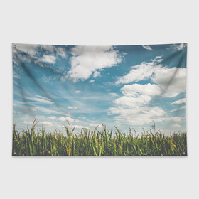 Флаг-баннер с принтом Небушко и полюшко в Курске, 100% полиэстер | размер 67 х 109 см, плотность ткани — 95 г/м2; по краям флага есть четыре люверса для крепления | небо | облака | пейзаж | поле | русский | славянский | фотопринт