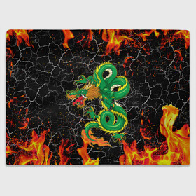Плед 3D с принтом Дракон Огонь Dragon Fire в Курске, 100% полиэстер | закругленные углы, все края обработаны. Ткань не мнется и не растягивается | Тематика изображения на принте: beast | dragon | fire | горелый | дракон | животные | зверь | змей | когти | огонь | пепел | пламя | узор | чб | японский