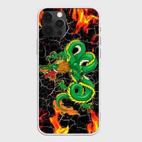 Чехол для iPhone 12 Pro с принтом Дракон Огонь Dragon Fire в Курске, силикон | область печати: задняя сторона чехла, без боковых панелей | beast | dragon | fire | горелый | дракон | животные | зверь | змей | когти | огонь | пепел | пламя | узор | чб | японский