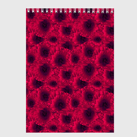 Скетчбук Красные маки : в Курске, 100% бумага
 | 48 листов, плотность листов — 100 г/м2, плотность картонной обложки — 250 г/м2. Листы скреплены сверху удобной пружинной спиралью | абстрактные цветы | девушкам | детский | красные маки | красный | летний | маки | цветочный | цветы