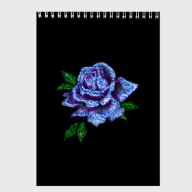 Скетчбук с принтом Сапфировая роза в Курске, 100% бумага
 | 48 листов, плотность листов — 100 г/м2, плотность картонной обложки — 250 г/м2. Листы скреплены сверху удобной пружинной спиралью | rose | лазурная | роза | сапфир | сапфировая | сапфировый | цветок | цветочек | цветочки | цветы