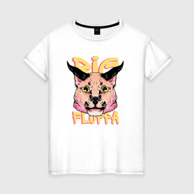 Женская футболка хлопок с принтом Big Cat  Floppa в Курске, 100% хлопок | прямой крой, круглый вырез горловины, длина до линии бедер, слегка спущенное плечо | flopa | floppa | каракал | кот мем | мем с котом | русский кот | шлёпа