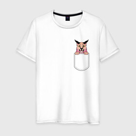 Мужская футболка хлопок с принтом Шлёпа в кармане в Курске, 100% хлопок | прямой крой, круглый вырез горловины, длина до линии бедер, слегка спущенное плечо. | flopa | floppa | каракал | кот мем | мем с котом | русский кот | шлёпа