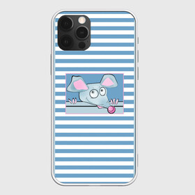Чехол для iPhone 12 Pro Max с принтом Веселая Мышь в Курске, Силикон |  | в горошек | веселый | детский | забавный | комбинированный | крыса | лоскуты | мышь | полосатый узор | полосы | синий
