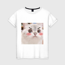 Женская футболка хлопок с принтом Котенька в Курске, 100% хлопок | прямой крой, круглый вырез горловины, длина до линии бедер, слегка спущенное плечо | kawaii | злой кот | комфорт | кот | мем | милый | уют