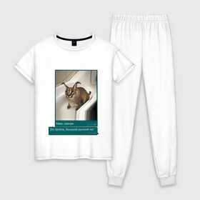 Женская пижама хлопок с принтом Шлёпа в Курске, 100% хлопок | брюки и футболка прямого кроя, без карманов, на брюках мягкая резинка на поясе и по низу штанин | каракал | кот | мемы | русский кот | рысь | шлёпа