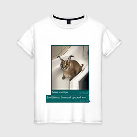 Женская футболка хлопок с принтом Шлёпа в Курске, 100% хлопок | прямой крой, круглый вырез горловины, длина до линии бедер, слегка спущенное плечо | каракал | кот | мемы | русский кот | рысь | шлёпа
