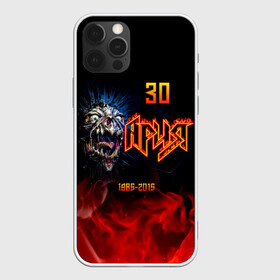 Чехол для iPhone 12 Pro Max с принтом Ария 30 лет 1985 - 2015 в Курске, Силикон |  | aria | arthur berkut | heavy metal | mikhail zhitnyakov | rock group | valery kipelov | ария | артур беркут | валерий кипелов | виталий дубинин | владимир холстинин | кипелов | маврин | максим удалов | мастер | михаил житняков