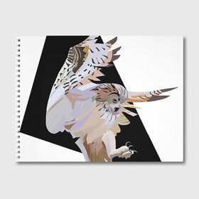 Альбом для рисования с принтом Сова в деле в Курске, 100% бумага
 | матовая бумага, плотность 200 мг. | Тематика изображения на принте: арт | дикие животные | дикие звери | дикие птицы | животное | животные | лягушка | охота | природа | птица | птицы | рисунок | сова