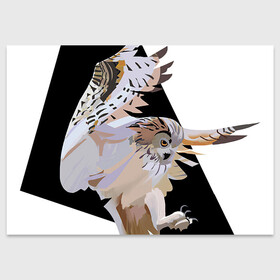 Поздравительная открытка с принтом Сова в деле в Курске, 100% бумага | плотность бумаги 280 г/м2, матовая, на обратной стороне линовка и место для марки
 | арт | дикие животные | дикие звери | дикие птицы | животное | животные | лягушка | охота | природа | птица | птицы | рисунок | сова