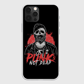 Чехол для iPhone 12 Pro Max с принтом Грозный панк в Курске, Силикон |  | alternative | music | punk | punks not dead | rock | альтернатива | музыка | панк | панки не умерают | панкс нот дэд | рок