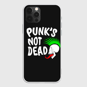 Чехол для iPhone 12 Pro Max с принтом Веселый панк в Курске, Силикон |  | alternative | music | punk | punks not dead | rock | альтернатива | музыка | панк | панки не умерают | панкс нот дэд | рок