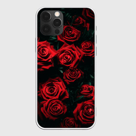 Чехол для iPhone 12 Pro Max с принтом РОЗЫ НА ЧЁРНОМ ФОНЕ в Курске, Силикон |  | аромат | любовь | растения | розы | текстура | цветы | шипы