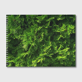 Альбом для рисования с принтом Хвойная масса в Курске, 100% бумага
 | матовая бумага, плотность 200 мг. | art | елка | зелень | растение | хвойник