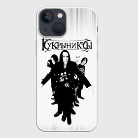 Чехол для iPhone 13 mini с принтом Группа Кукрыниксы в Курске,  |  | gorshenev | kukryniksy | rock group | алексей горшенёв | альтернативный | вагон | горшенев | горшок | готик | дмитрий оганян | игорь воронов | кукрыниксы | михаил фомин | панк | панкрок | постпанк | рок группа