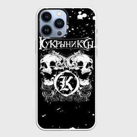 Чехол для iPhone 13 Pro Max с принтом Кукрыниксы черепа в Курске,  |  | gorshenev | kukryniksy | rock group | алексей горшенёв | альтернативный | вагон | горшенев | горшок | готик | дмитрий оганян | игорь воронов | кукрыниксы | михаил фомин | панк | панкрок | постпанк | рок группа