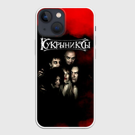 Чехол для iPhone 13 mini с принтом Группа Кукрыниксы в Курске,  |  | gorshenev | kukryniksy | rock group | алексей горшенёв | альтернативный | вагон | горшенев | горшок | готик | дмитрий оганян | игорь воронов | кукрыниксы | михаил фомин | панк | панкрок | постпанк | рок группа