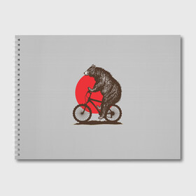 Альбом для рисования с принтом Медведь на велосиеде в Курске, 100% бумага
 | матовая бумага, плотность 200 мг. | вело | велосипед | медведь | солнце | спорт | япония