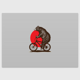 Поздравительная открытка с принтом Медведь на велосиеде в Курске, 100% бумага | плотность бумаги 280 г/м2, матовая, на обратной стороне линовка и место для марки
 | вело | велосипед | медведь | солнце | спорт | япония