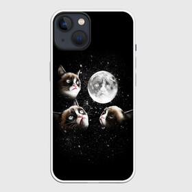 Чехол для iPhone 13 с принтом ГРУСТНЫЕ ЛУННЫЕ КОТЫ в Курске,  |  | cat | cosmo | face | memes | night | sky | stars | голова | звезды | интернет | космос | коты | кошки | лицо | луна | мем | ночь | отражение | прикол | рисунок