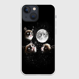 Чехол для iPhone 13 mini с принтом ГРУСТНЫЕ ЛУННЫЕ КОТЫ в Курске,  |  | cat | cosmo | face | memes | night | sky | stars | голова | звезды | интернет | космос | коты | кошки | лицо | луна | мем | ночь | отражение | прикол | рисунок