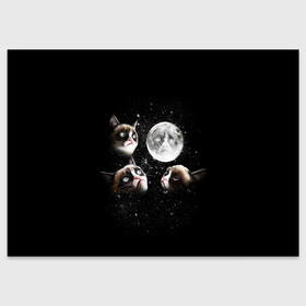 Поздравительная открытка с принтом ГРУСТНЫЕ ЛУННЫЕ КОТЫ в Курске, 100% бумага | плотность бумаги 280 г/м2, матовая, на обратной стороне линовка и место для марки
 | cat | cosmo | face | memes | night | sky | stars | голова | звезды | интернет | космос | коты | кошки | лицо | луна | мем | ночь | отражение | прикол | рисунок