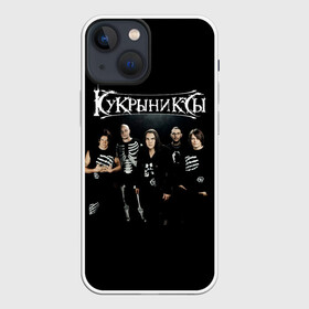 Чехол для iPhone 13 mini с принтом Рок группа Кукрыниксы в Курске,  |  | gorshenev | kukryniksy | rock group | алексей горшенёв | альтернативный | вагон | горшенев | горшок | готик | дмитрий оганян | игорь воронов | кукрыниксы | михаил фомин | панк | панкрок | постпанк | рок группа