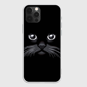 Чехол для iPhone 12 Pro Max с принтом Кот Журбей в Курске, Силикон |  | большие глаза | голова кота | милота. | мордочка | настроение | позитив | усики | черный