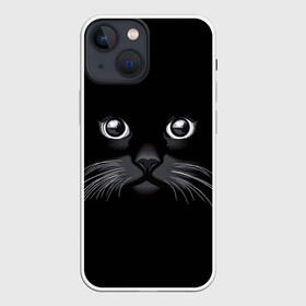 Чехол для iPhone 13 mini с принтом Кот Журбей в Курске,  |  | большие глаза | голова кота | милота. | мордочка | настроение | позитив | усики | черный