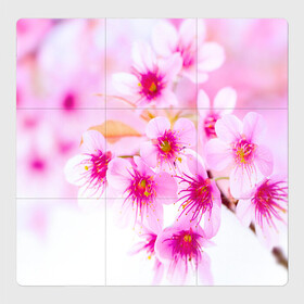 Магнитный плакат 3Х3 с принтом Весеннее цветение вишни в Курске, Полимерный материал с магнитным слоем | 9 деталей размером 9*9 см | бутоны | весна | девушкам | красивые | розовые | сакура | цветение | цветы | яблоня