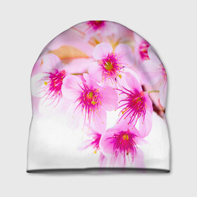 Шапка 3D с принтом Весеннее цветение вишни в Курске, 100% полиэстер | универсальный размер, печать по всей поверхности изделия | Тематика изображения на принте: бутоны | весна | девушкам | красивые | розовые | сакура | цветение | цветы | яблоня