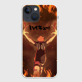 Чехол для iPhone 13 mini с принтом Haikyu | Волейбол (Z) в Курске,  |  | Тематика изображения на принте: haikuu | haikyu | haikyuu | волейбол | спортивная манга | хайку | хайкю